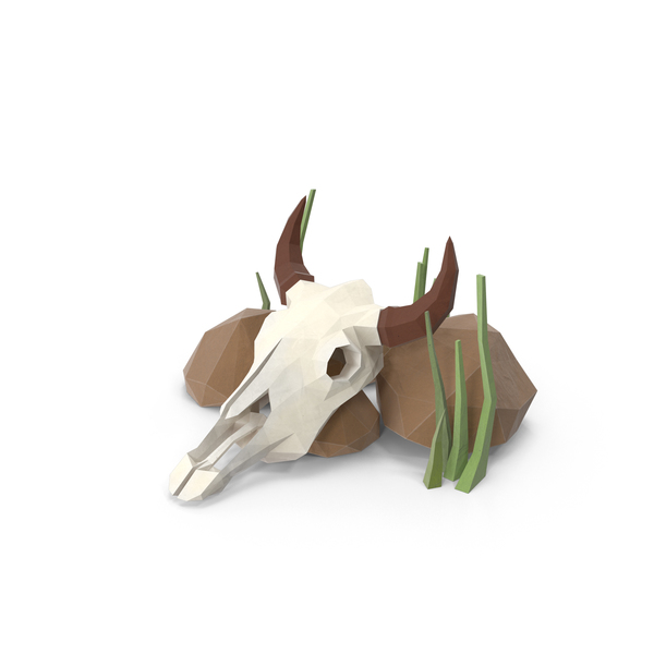 Cow Skull and Rocks PNG & PSD Images