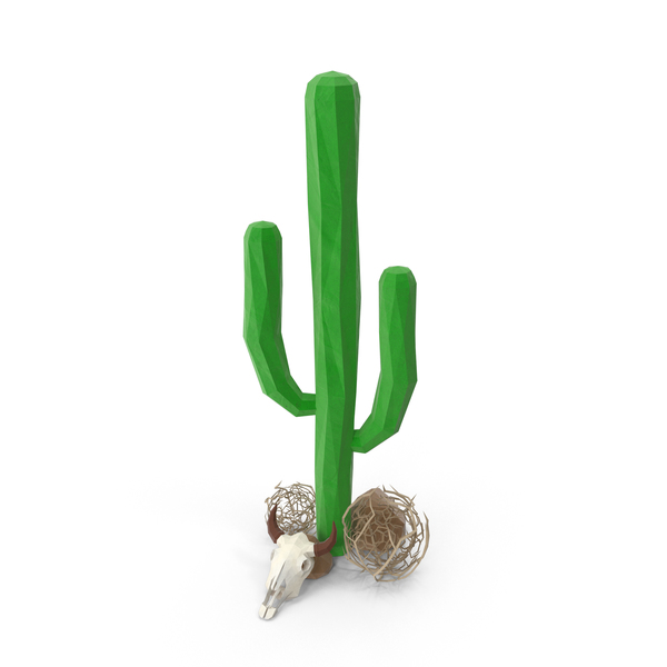 Cactus with Skull and Tumblweeds PNG & PSD Images