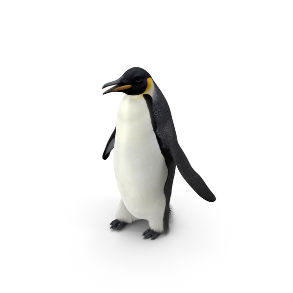 Emperor Penguin PNG & PSD Images