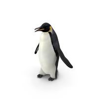 皇帝企鹅PNG和PSD图像