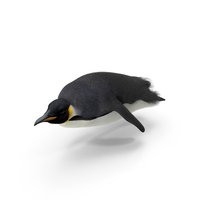 Emperor Penguin PNG & PSD Images