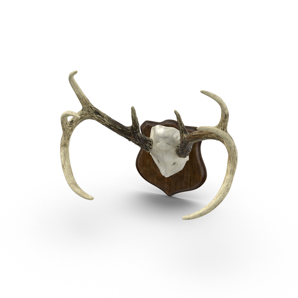 Mounted Antlers PNG & PSD Images