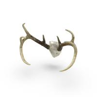 Mounted Antlers PNG & PSD Images