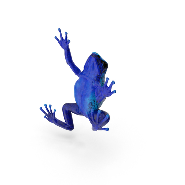 Poison Dart Frog PNG & PSD Images