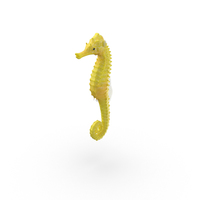 Yellow Seahorse PNG & PSD Images