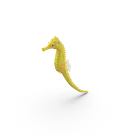 Yellow Seahorse with Tail Extended PNG & PSD Images