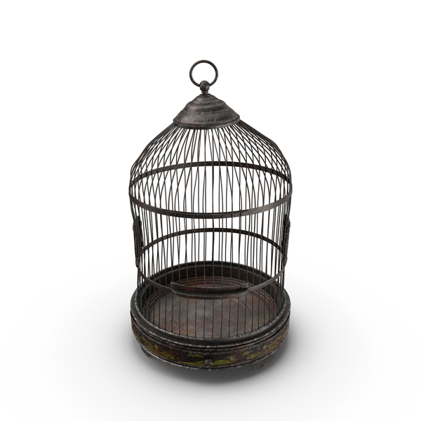 Old Bird Cage PNG & PSD Images