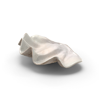 Bottom Clam Shell PNG & PSD Images