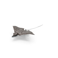 Eagle Ray PNG & PSD Images