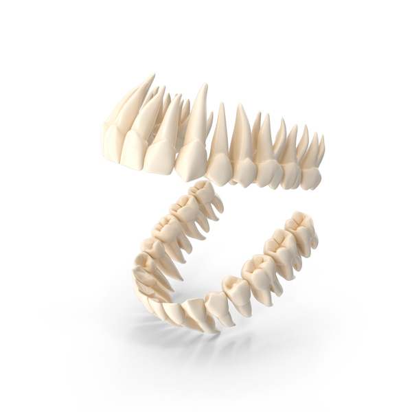 Teeth PNG & PSD Images
