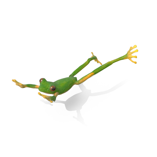 Tree Frog PNG & PSD Images