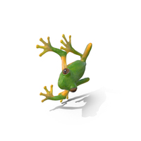 Tree Frog On Tree Pose PNG & PSD Images