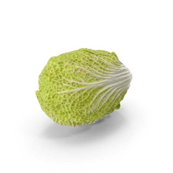 Napa Cabbage PNG & PSD Images