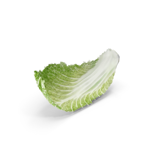 Napa Cabbage PNG & PSD Images
