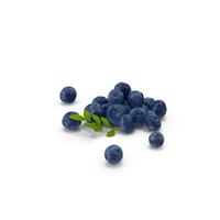 Blueberries PNG & PSD Images