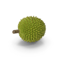 Durian Fruit PNG & PSD Images