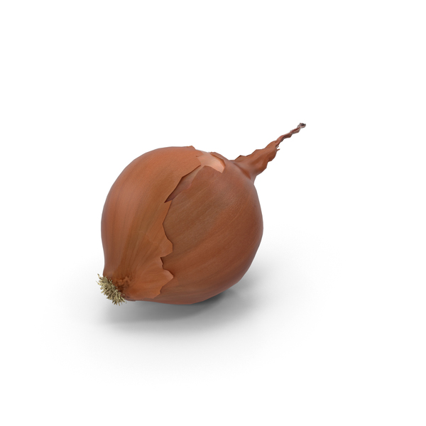 Onion PNG & PSD Images