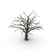 Old Dead Tree PNG & PSD Images