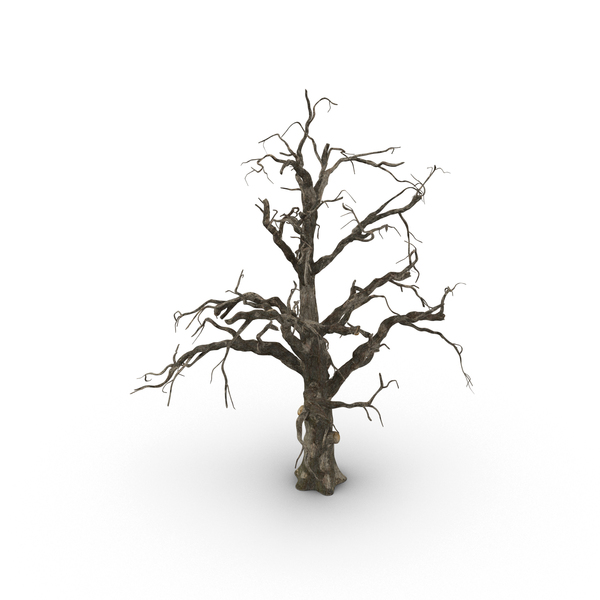 Old Dead Tree Png Images Psds For Download Pixelsquid Sa