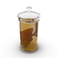 Lung Specimen in Jar PNG & PSD Images