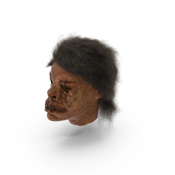 Shrunken Head PNG & PSD Images
