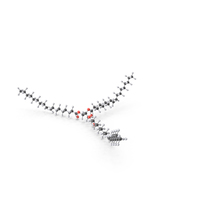 Triolein Molecule PNG & PSD Images