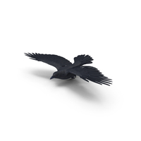 Crow PNG & PSD Images