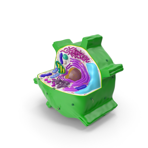 Plant Cell PNG & PSD Images