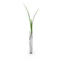 Plant in Test Tube PNG & PSD Images