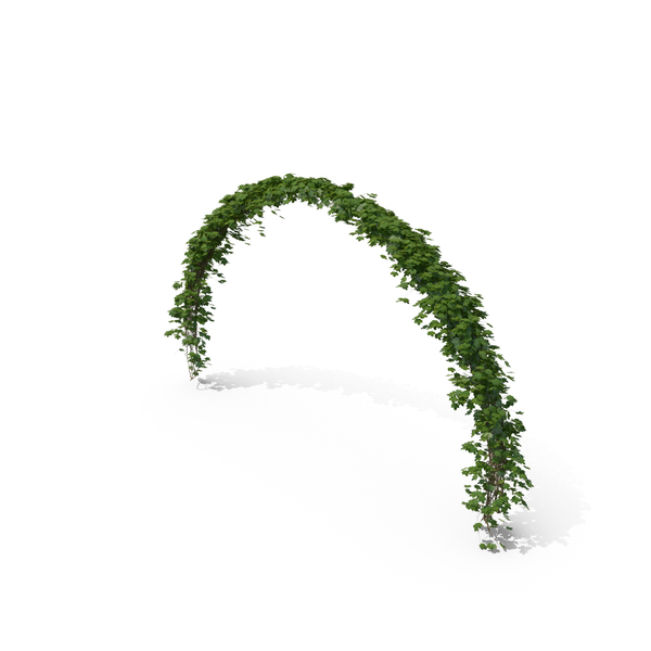 Ivy Arch PNG & PSD Images