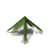 Ivy Pyramid PNG & PSD Images