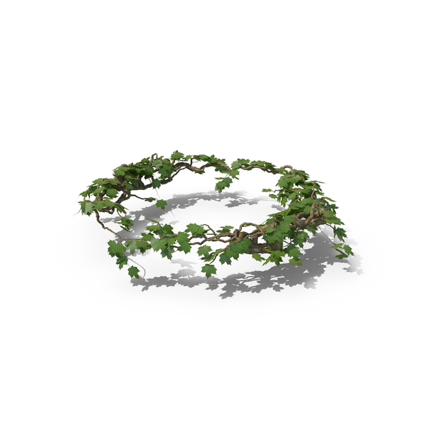 Ivy Circle PNG & PSD Images