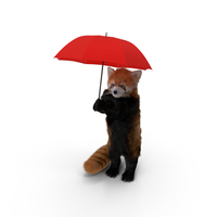 Red Panda with Umbrella PNG & PSD Images