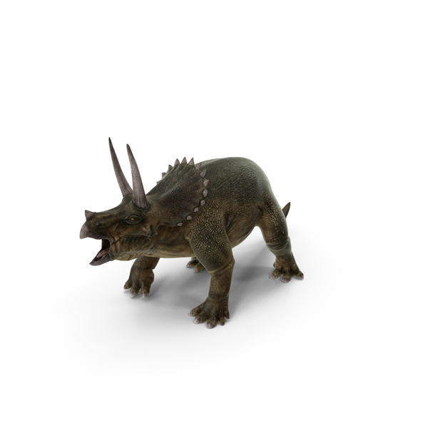 Triceratops PNG & PSD Images