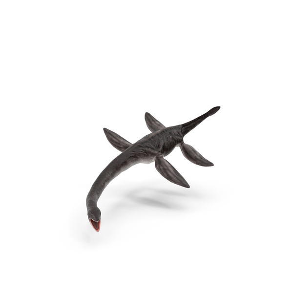 Plesiosaur PNG & PSD Images