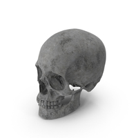Concrete Skull PNG & PSD Images