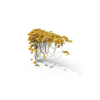 Yellow Ivy PNG & PSD Images