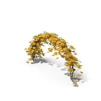 Yellow Ivy Arch PNG & PSD Images