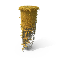Yellow Ivy Column PNG & PSD Images