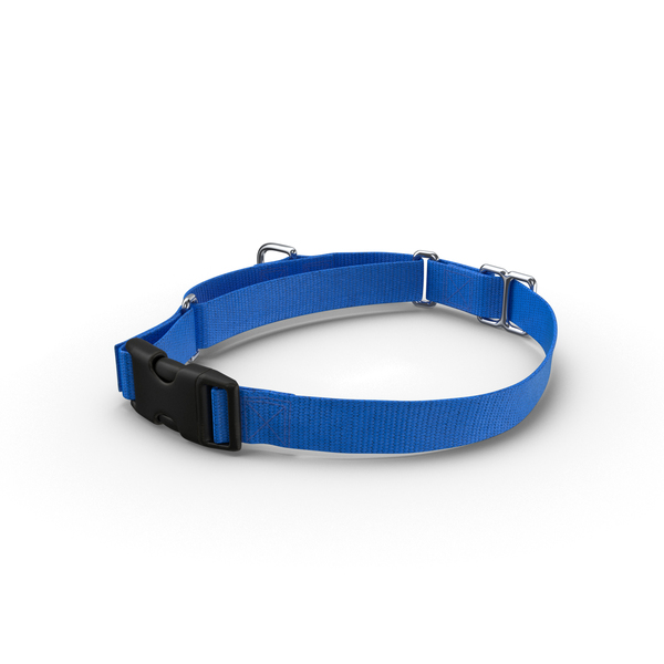 Dog Collar PNG & PSD Images