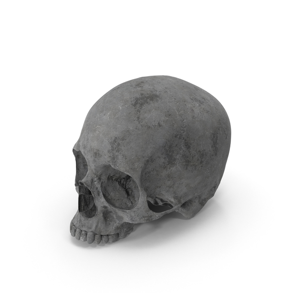Concrete Skull No Jaw PNG & PSD Images