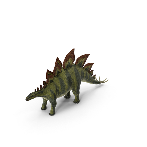 Stegosaurus PNG & PSD Images