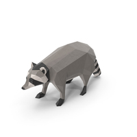 Low Poly Raccoon PNG & PSD Images