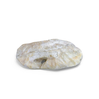 Oyster Shell PNG & PSD Images