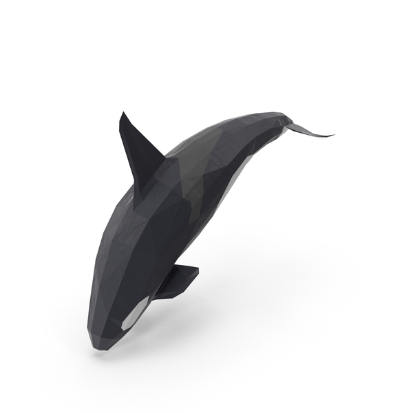 Low Poly Orca Whale PNG & PSD Images