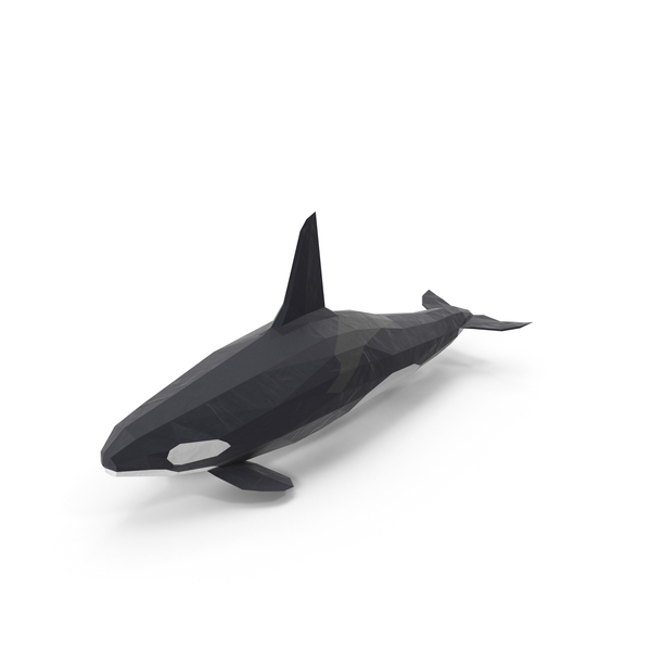 Low Poly Orca Whale PNG & PSD Images