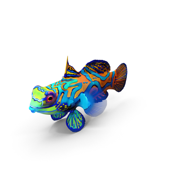 Mandarin Fish PNG & PSD Images
