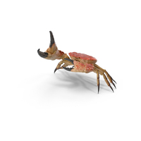 Queen Crab PNG & PSD Images