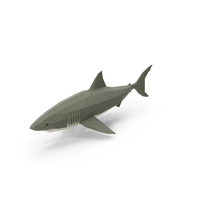 Low Poly Shark PNG & PSD Images