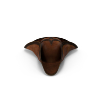 Pirate Hat PNG & PSD Images